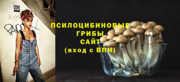 хмурый Алзамай