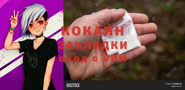 хмурый Алзамай