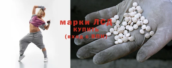хмурый Алзамай